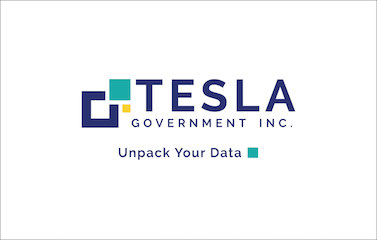 a logo of Tesla Government Inc in a navy blue font