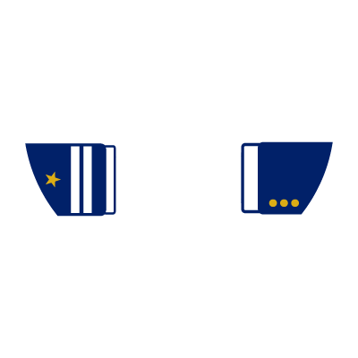 Military and civilian sleeves 